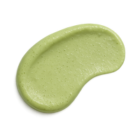 Lactobacillus Plantarum