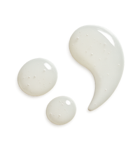 Lactobacillus Helveticus