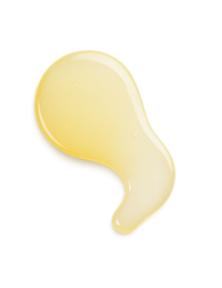 Lactobacillus Acidophilus