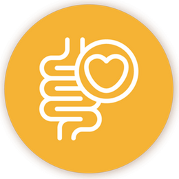 gut health